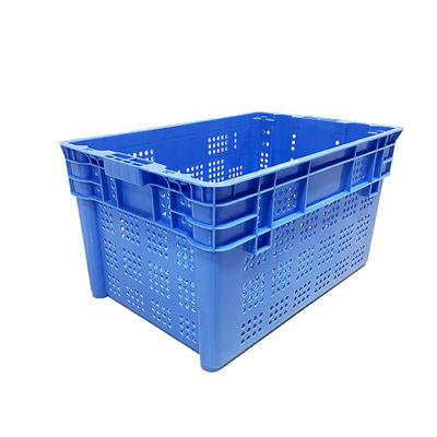 Przenośna plastikowa skrzynia do przechowywania 60x40 2 kg na warzywa